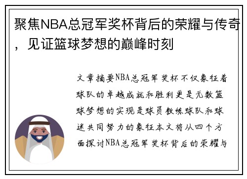聚焦NBA总冠军奖杯背后的荣耀与传奇，见证篮球梦想的巅峰时刻